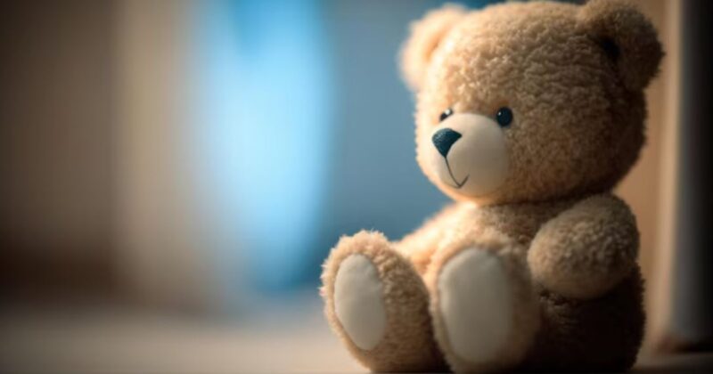 Behind the Scenes of Child Welfare Investigations